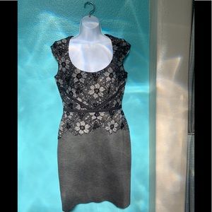 Ann Taylor Gray and Black Lace Dress